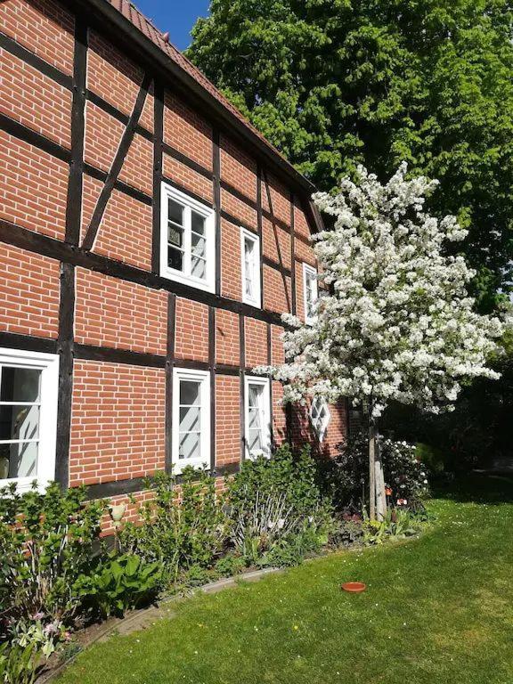Apartment in ruhiger Wohnlage Sie sind in 3 Minuten am Trebbower See oder in 30 Minuten an der Ostsee Klein Trebbow Exterior foto